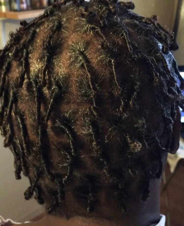 Natural Hair Starter Dread Locks HBL Hair Extensions Hair Service