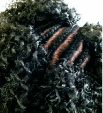 Crochet Braids: Protective Styling with Custom Parting Options HBL Hair Extensions Hair Service