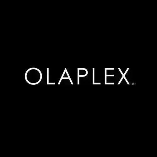 Olaplex Express Bond Shine Treatment HBL Hair Extensions Hair Service