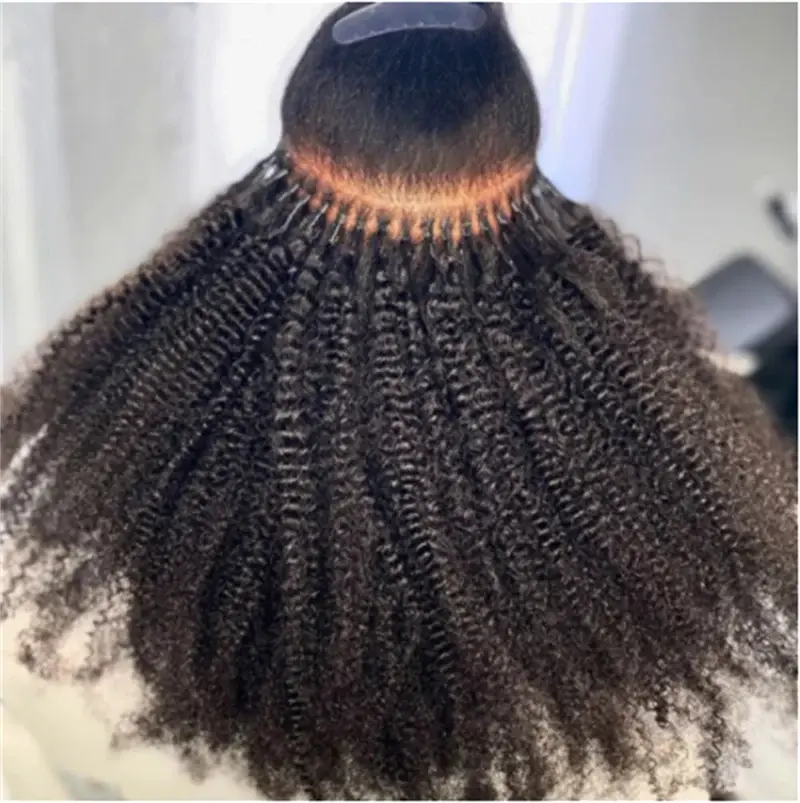 Micro Loop HAIR EXTENSION Afro Kinky Curly Human Hair HBL Hair Extensions Microloop