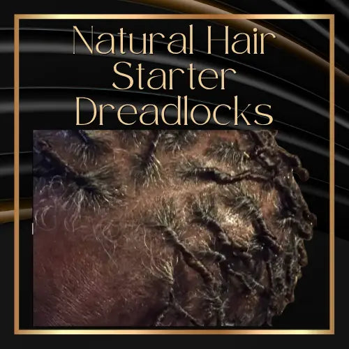 Natural Hair Starter Dread Locks HBL Hair Extensions Hair Service, Natural Hair, Starter Locs, Dreads