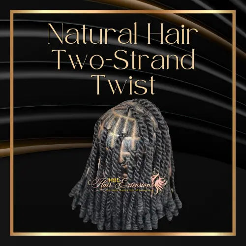 Natural Hair Two-Strand Twist with Olaplex Wash HBL Hair Extensions Hair Service, Natural Hair Service, Natural Hair