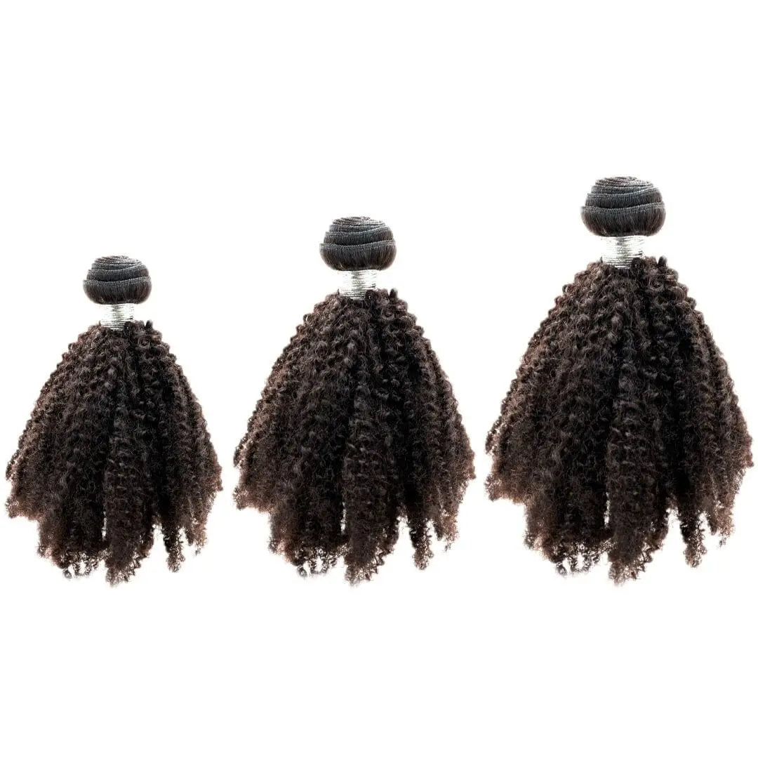 Brazilian Afro Kinky Bundle Deals HBL Hair Extensions