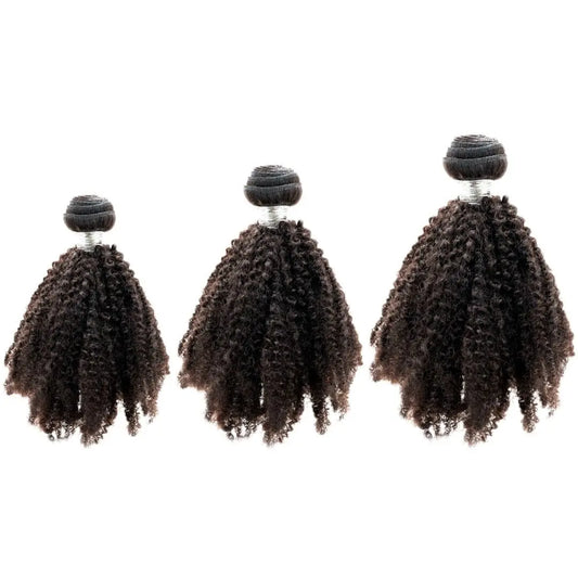 Brazilian Afro Kinky Bundle Deals HBL Hair Extensions