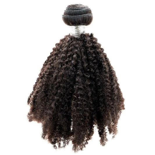 Brazilian Afro Kinky HBL Hair Extensions