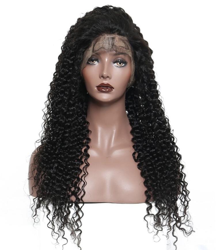 Curly Wave Full Lace Wig Full Lace Wig HBL Hair Extensions 