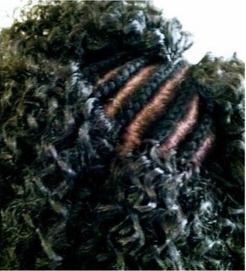 Crochet Braids: Protective Styling with Custom Parting Options HBL Hair Extensions Hair Service