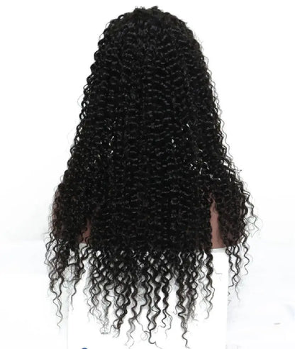 HBL Curly Wave Full Lace Wig - HBL Hair Extensions