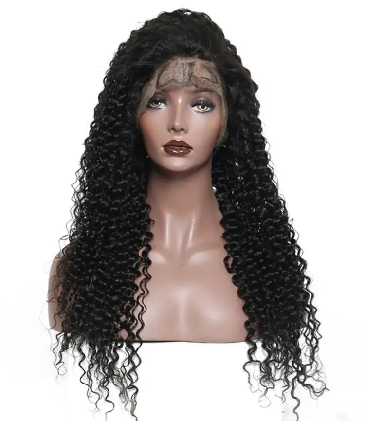 HBL Curly Wave Full Lace Wig - HBL Hair Extensions