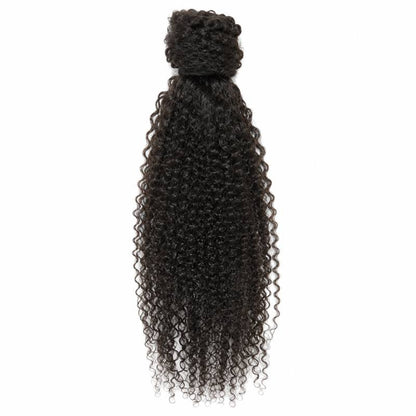 Kinky Curly Ponytail