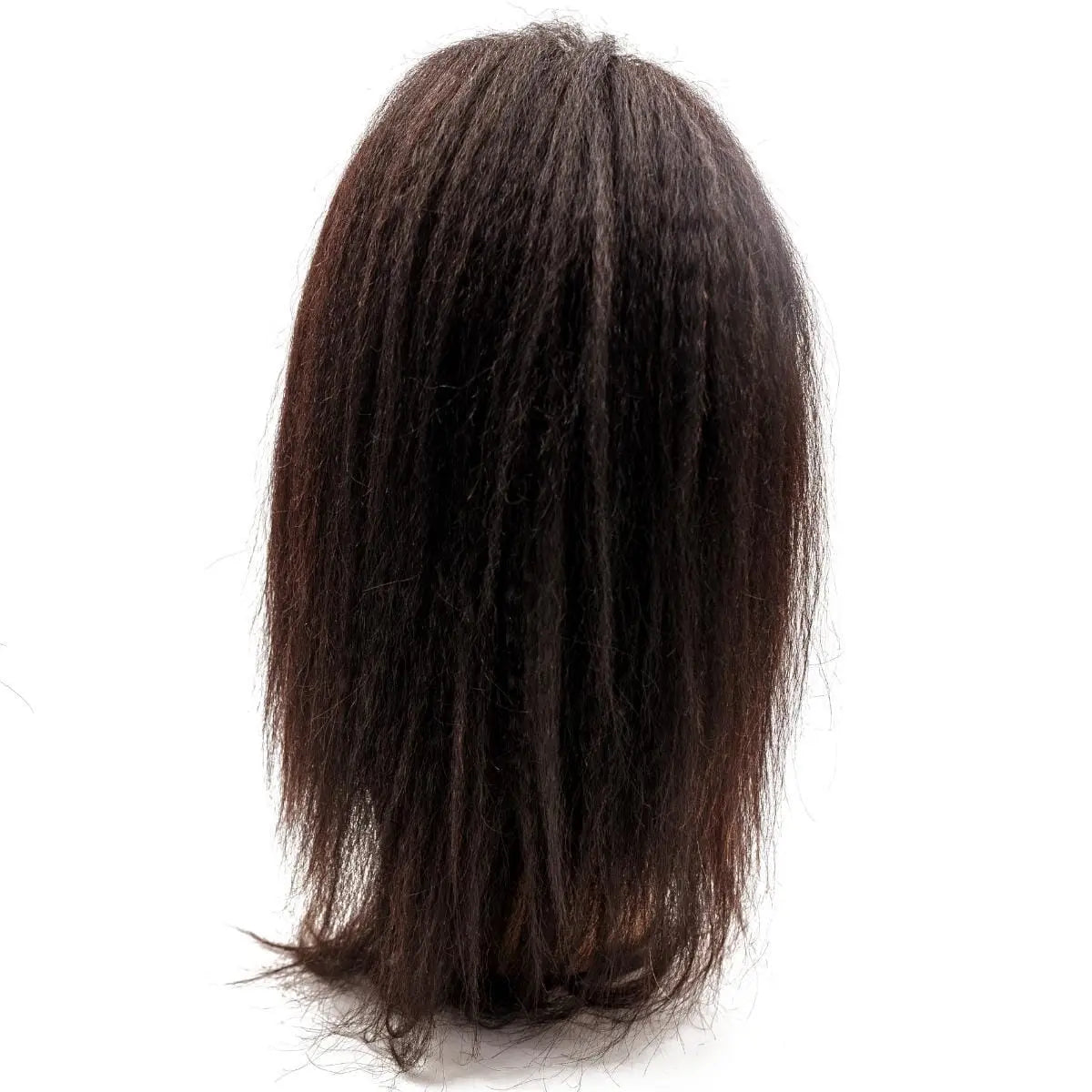 Kinky Straight Mono Lace Front PU Medical Wig - HBL Hair Extensions