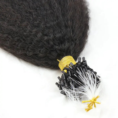 Kinky straight Micro Loop - HBL Hair Extensions