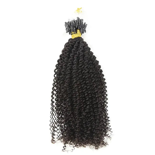 Micro Loop HAIR EXTENSION Afro Kinky Curly Human Hair HBL Hair Extensions Microloop