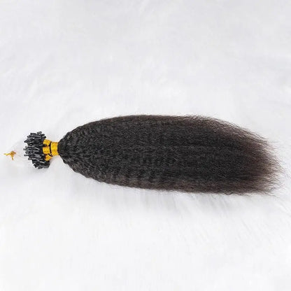 Micro Loop HAIR EXTENSION Kinky Straight Human Hair HBL Hair Extensions Microloop