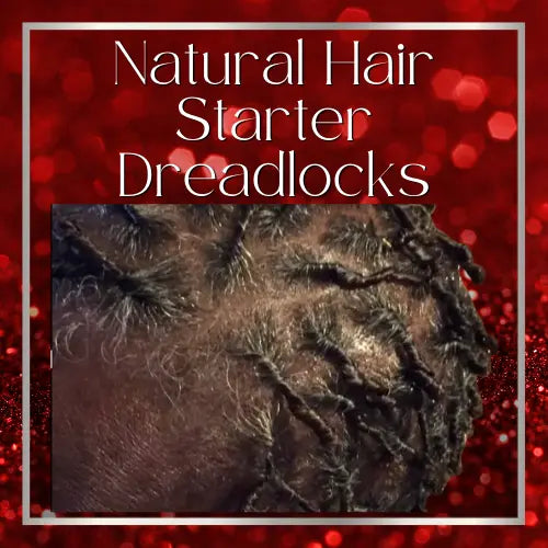 Natural Hair Starter Dread Locks HBL Hair Extensions Hair Service, Natural Hair, Starter Locs, Dreads