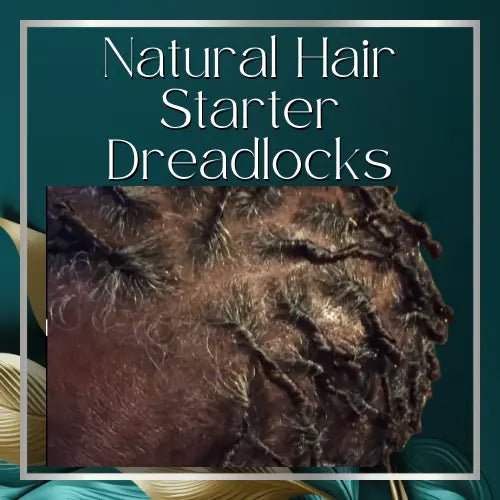 Natural Hair Starter Dread Locks HBL Hair Extensions Hair Service, Natural Hair, Starter Locs, Dreads