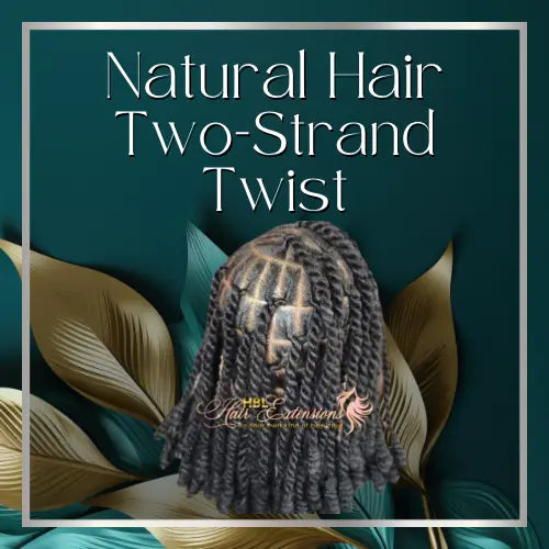 Natural Hair Two-Strand Twist HBL Hair Extensions Hair Service, Natural Hair Service, Natural Hair