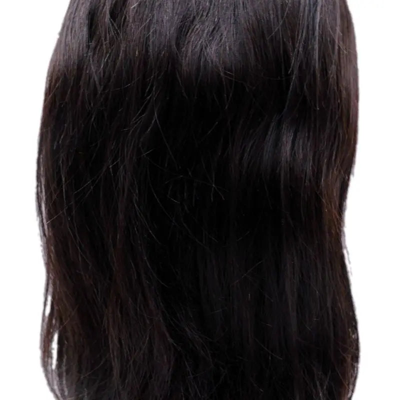 Straight Full Lace Wig - HBL Hair Extensions