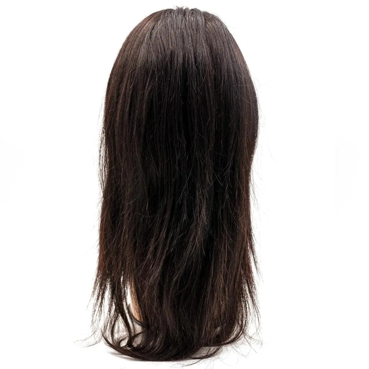 Straight Mono Lace Front PU Medical Wig - HBL Hair Extensions