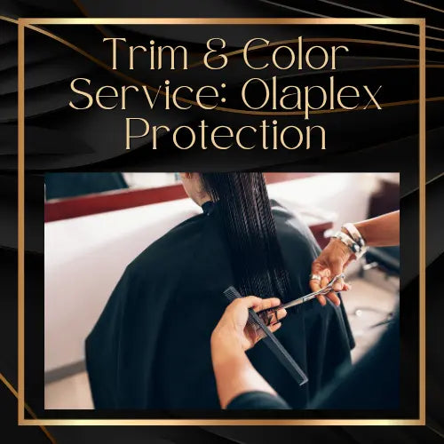 Trim & Color Service with Olaplex Protection HBL Hair Extensions Hair Service, Trim, Color Service