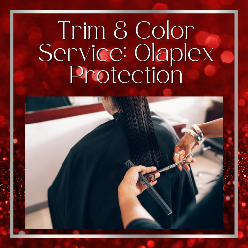 Trim & Color Service with Olaplex Protection HBL Hair Extensions Hair Service, Trim, Color Service