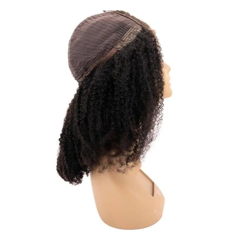 Afro Kinky 4x4 Transparent Closure Wig - HBL Hair Extensions