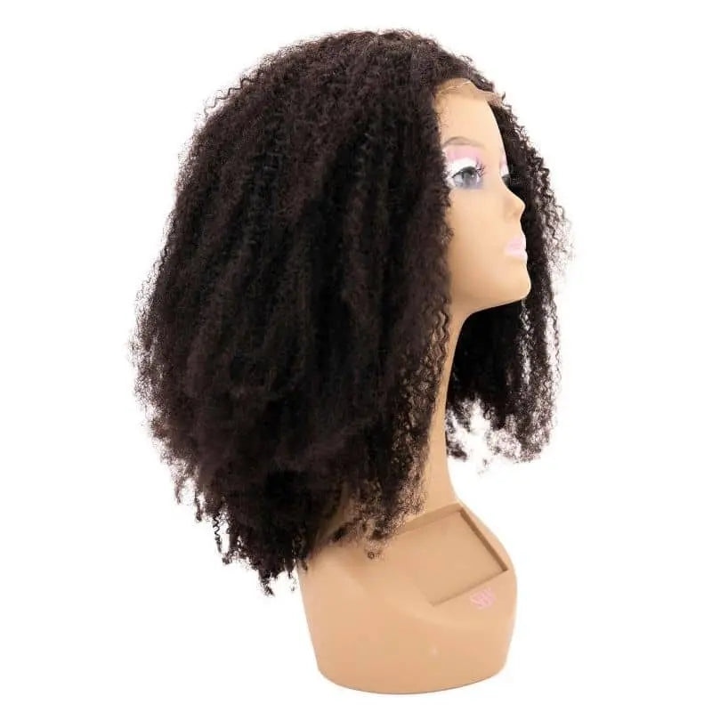 Afro Kinky 4x4 Transparent Closure Wig - HBL Hair Extensions