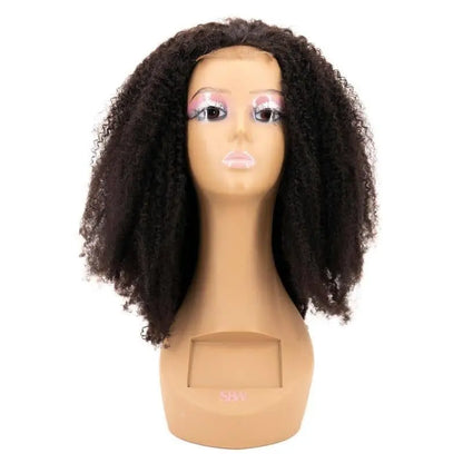 Afro Kinky 4x4 Transparent Closure Wig - HBL Hair Extensions