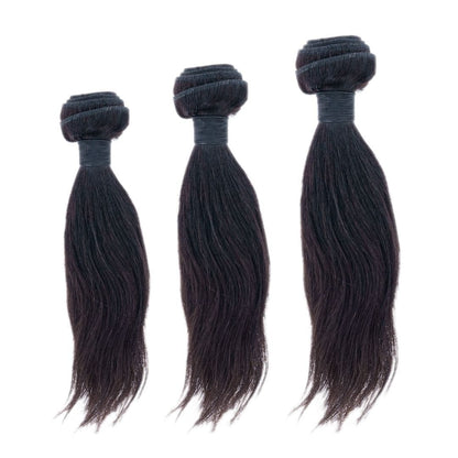 Malaysian Silky Straight Bundle Deals HBL Hair Extensions 