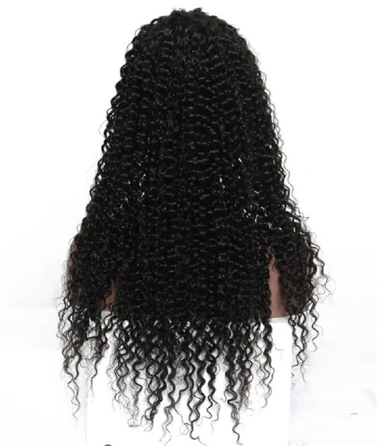 Curly Wave Full Lace Wig Full Lace Wig HBL Hair Extensions 