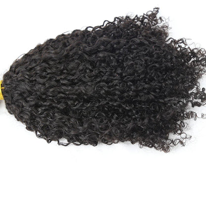 Kinky curly Micro Loop HBL Hair Extensions 